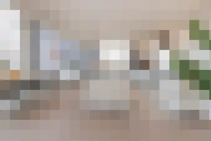 Karthuizersplantsoen 24 Amsterdam thumbnail 4