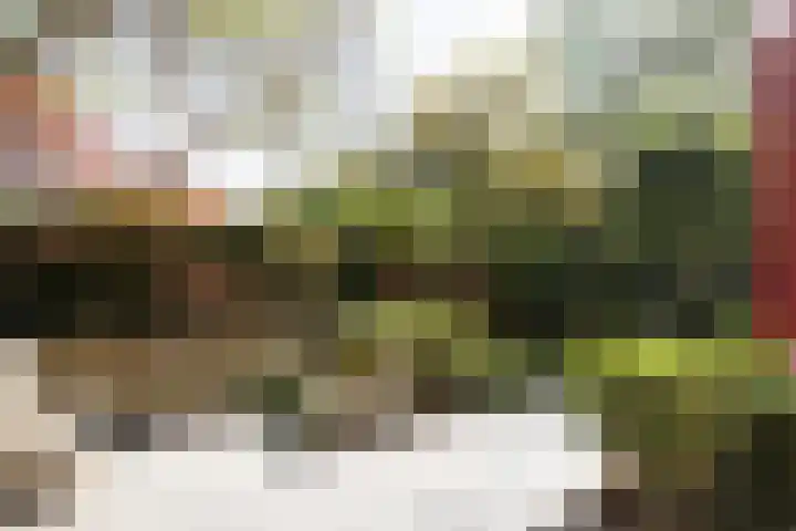Karthuizersplantsoen 24 Amsterdam thumbnail 47