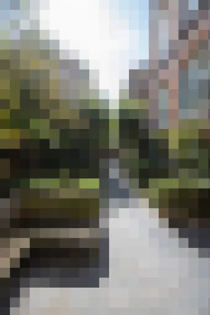 Karthuizersplantsoen 24 Amsterdam thumbnail 48