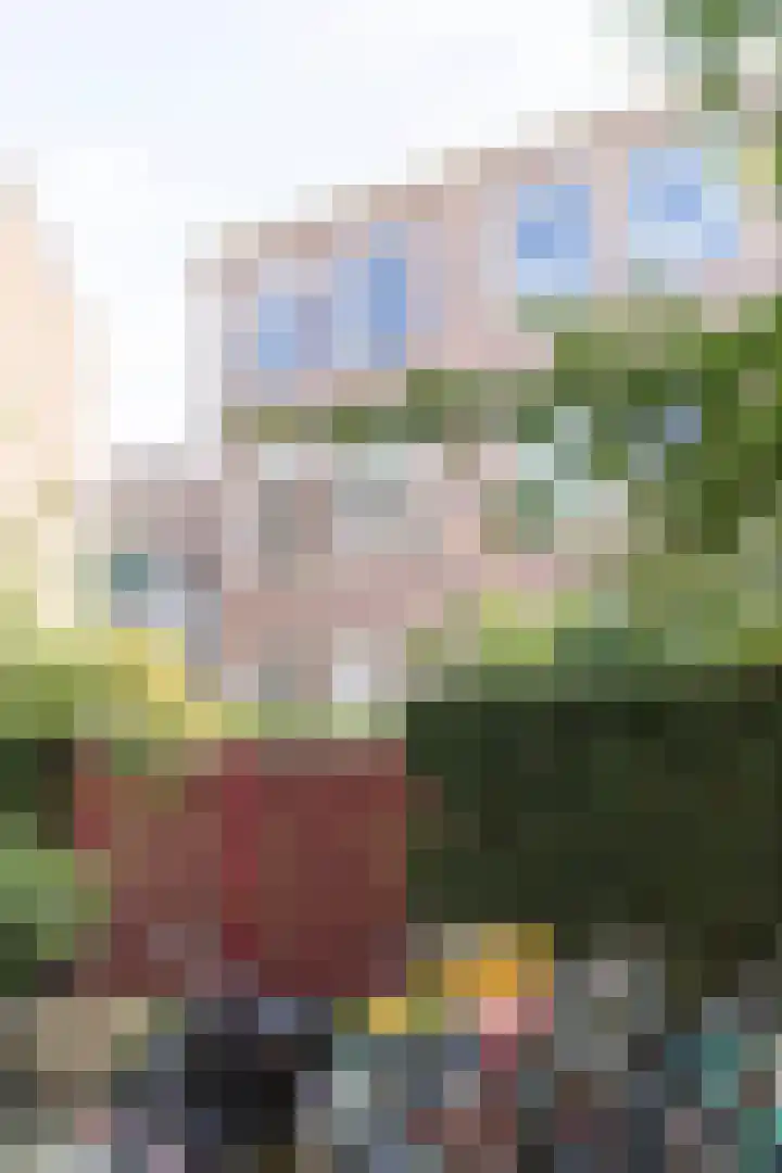 Karthuizersplantsoen 24 Amsterdam thumbnail 49