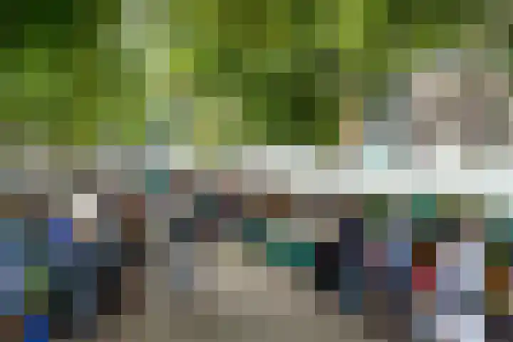 Karthuizersplantsoen 24 Amsterdam thumbnail 51