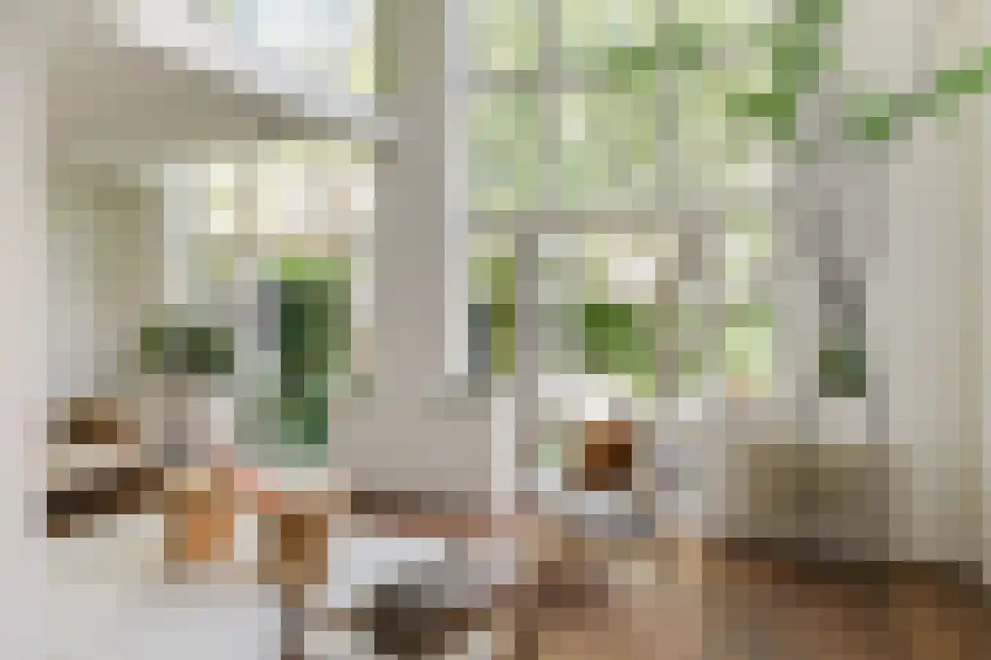 Karthuizersplantsoen 9 Amsterdam thumbnail 11