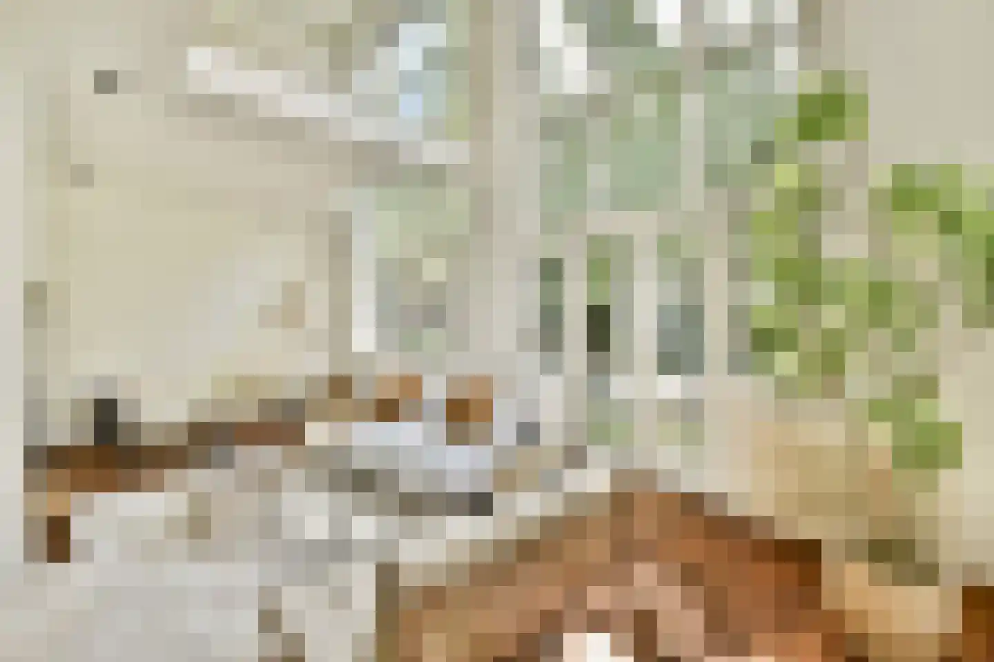 Karthuizersplantsoen 9 Amsterdam thumbnail 12