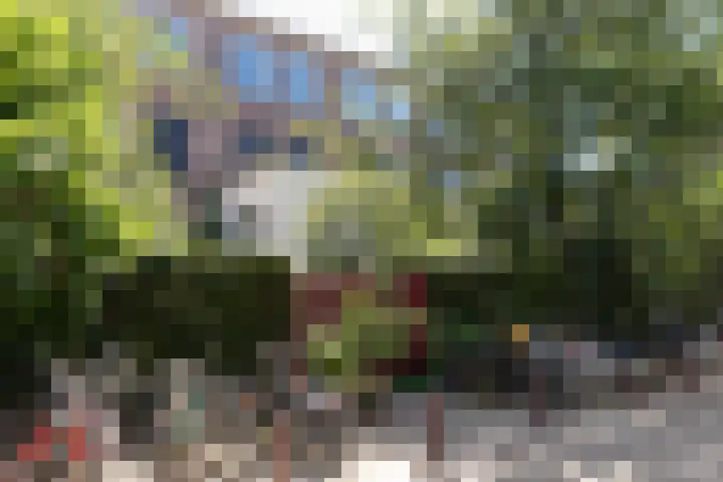 Karthuizersplantsoen 9 Amsterdam thumbnail 12