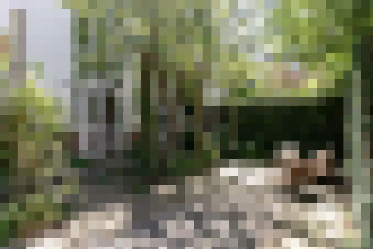 Karthuizersplantsoen 9 Amsterdam thumbnail 13