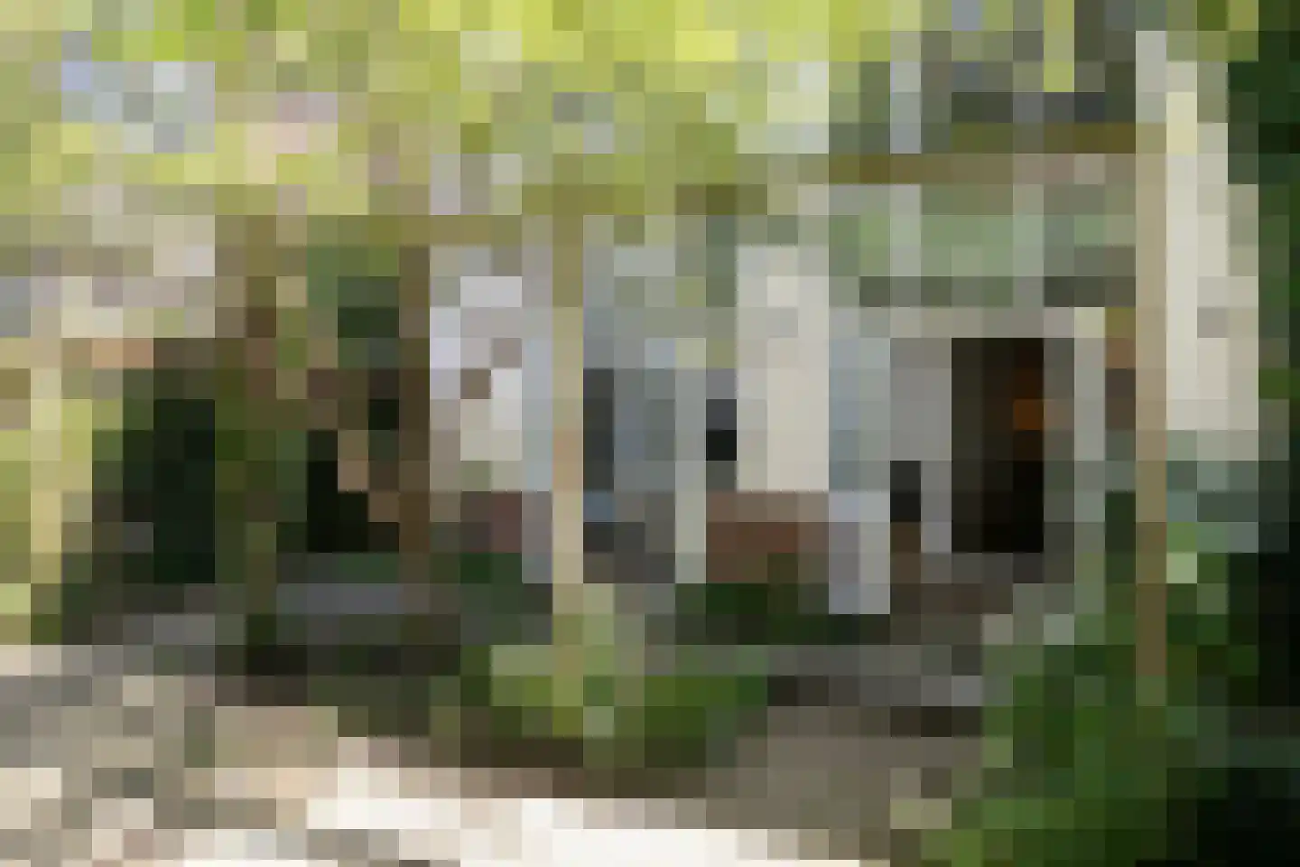 Karthuizersplantsoen 9 Amsterdam thumbnail 14