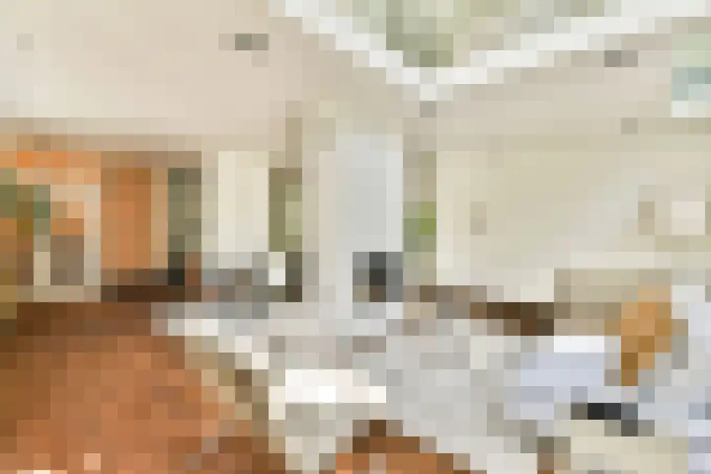 Karthuizersplantsoen 9 Amsterdam thumbnail 14
