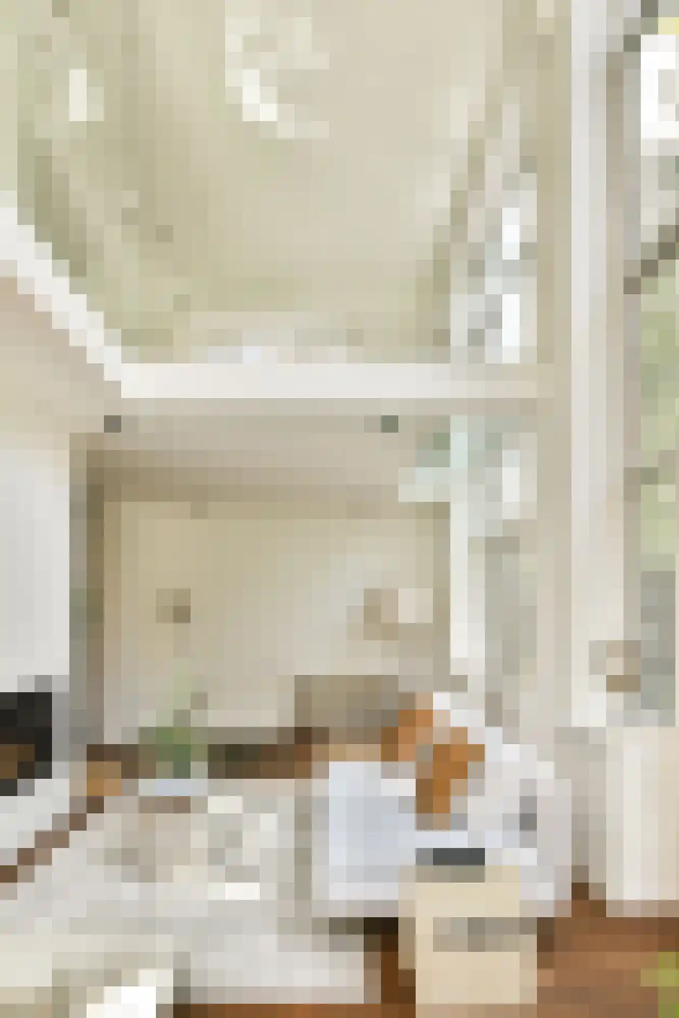 Karthuizersplantsoen 9 Amsterdam thumbnail 16
