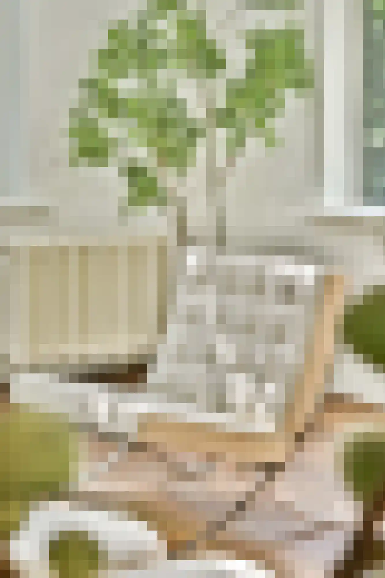 Karthuizersplantsoen 9 Amsterdam thumbnail 17