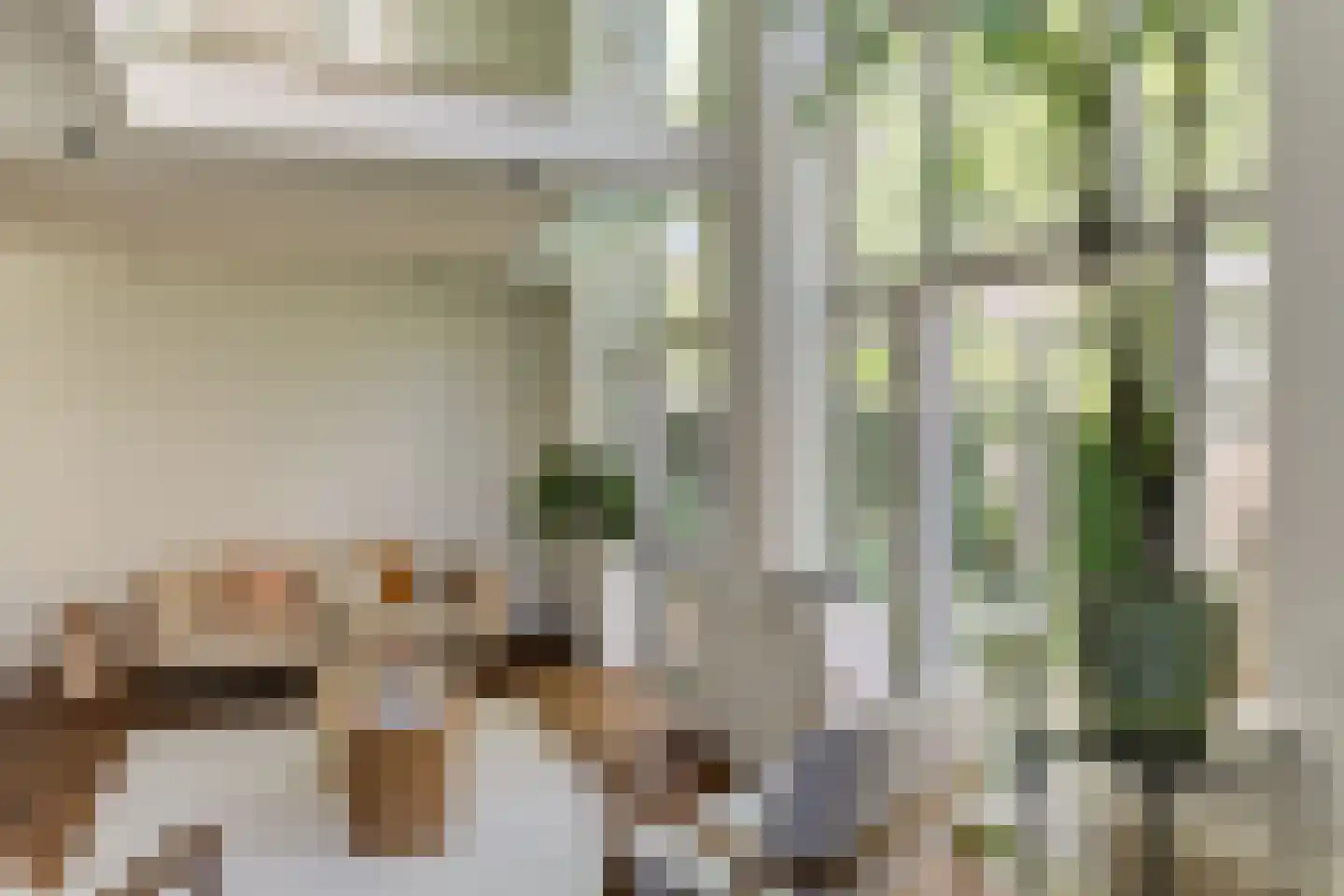 Karthuizersplantsoen 9 Amsterdam thumbnail 18