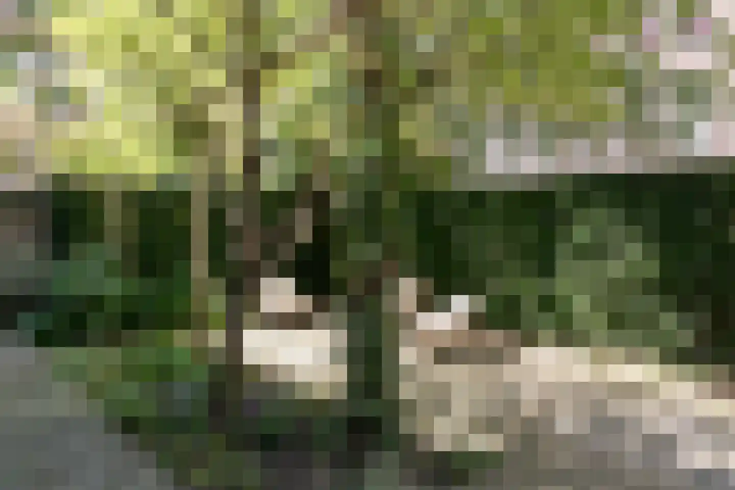 Karthuizersplantsoen 9 Amsterdam thumbnail 20