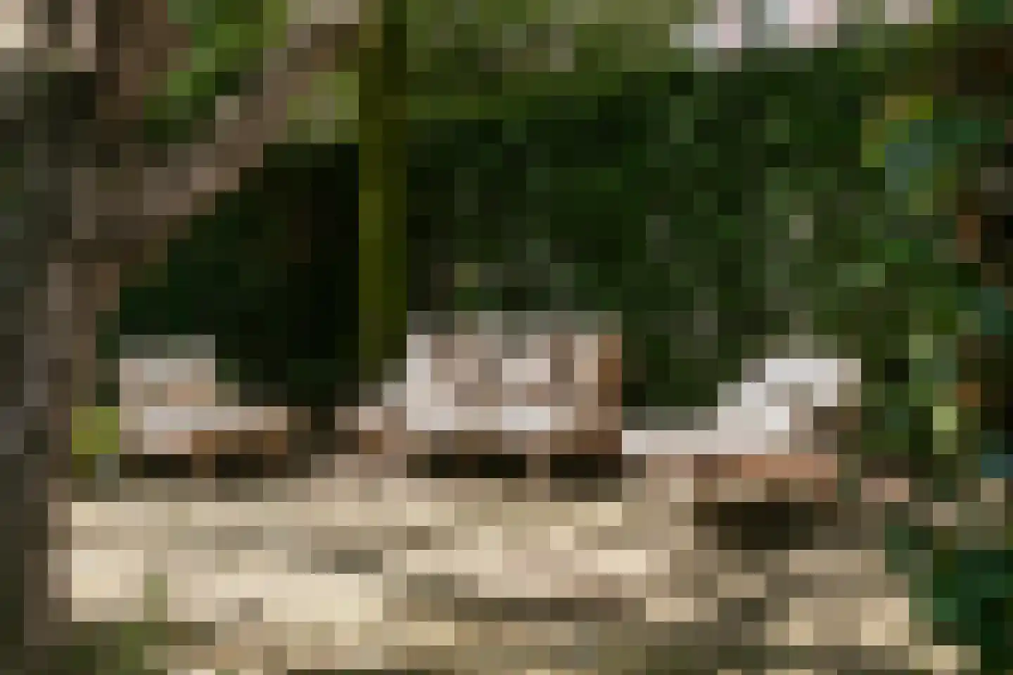 Karthuizersplantsoen 9 Amsterdam thumbnail 21