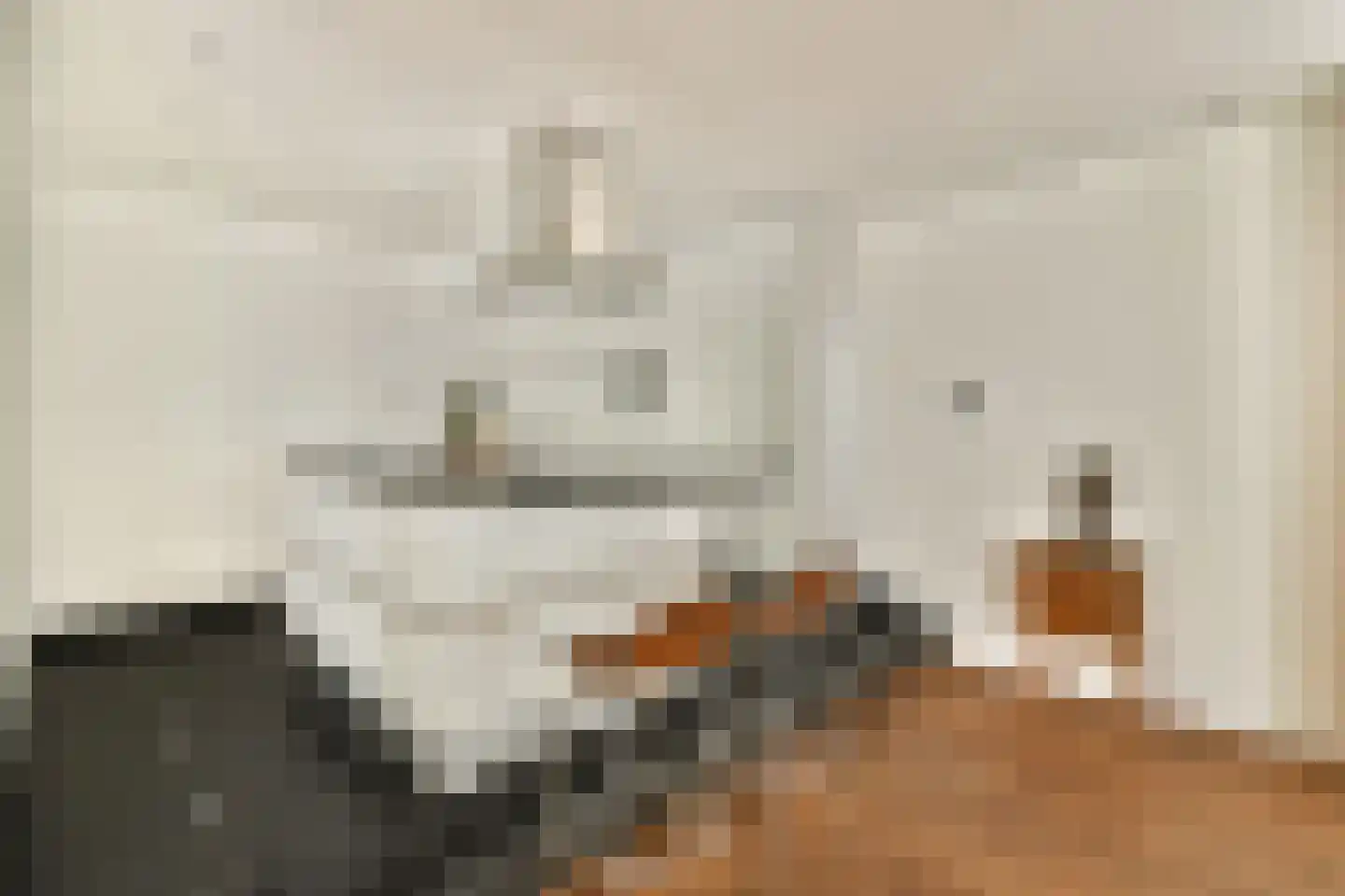 Karthuizersplantsoen 9 Amsterdam thumbnail 21