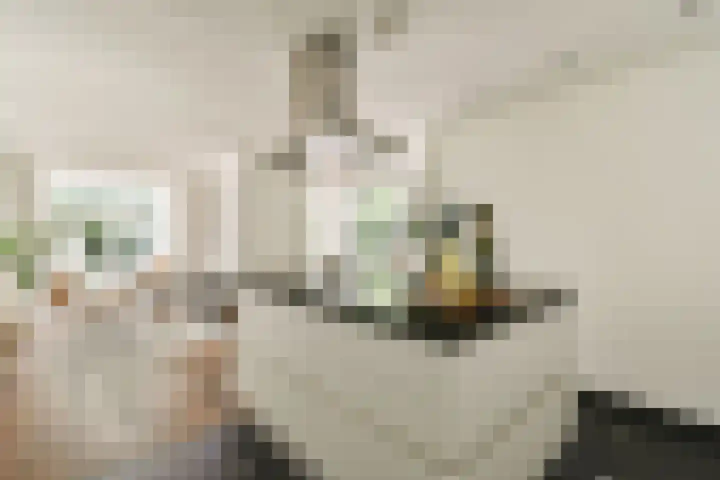 Karthuizersplantsoen 9 Amsterdam thumbnail 23