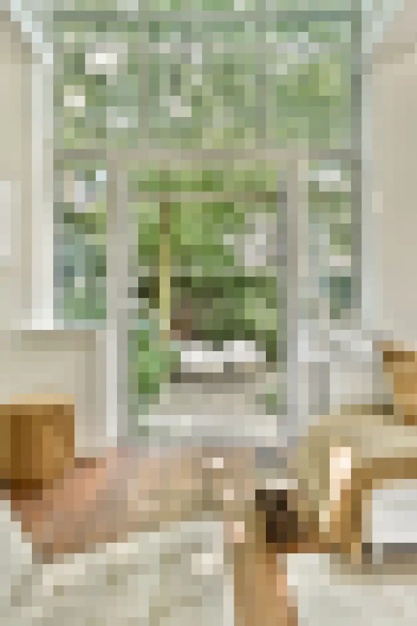 Karthuizersplantsoen 9 Amsterdam thumbnail 25