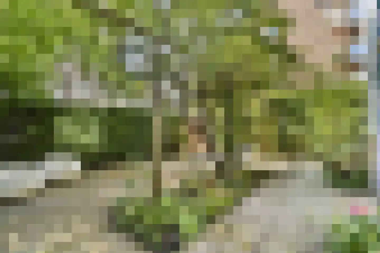 Karthuizersplantsoen 9 Amsterdam thumbnail 26