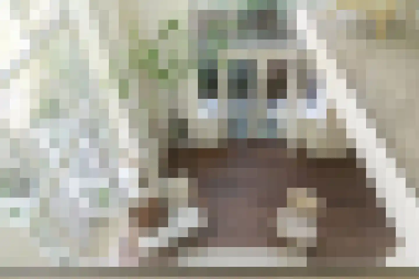 Karthuizersplantsoen 9 Amsterdam thumbnail 27