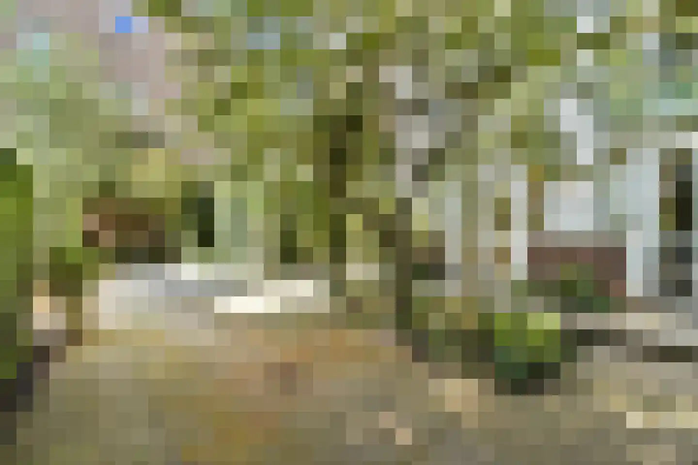 Karthuizersplantsoen 9 Amsterdam thumbnail 27