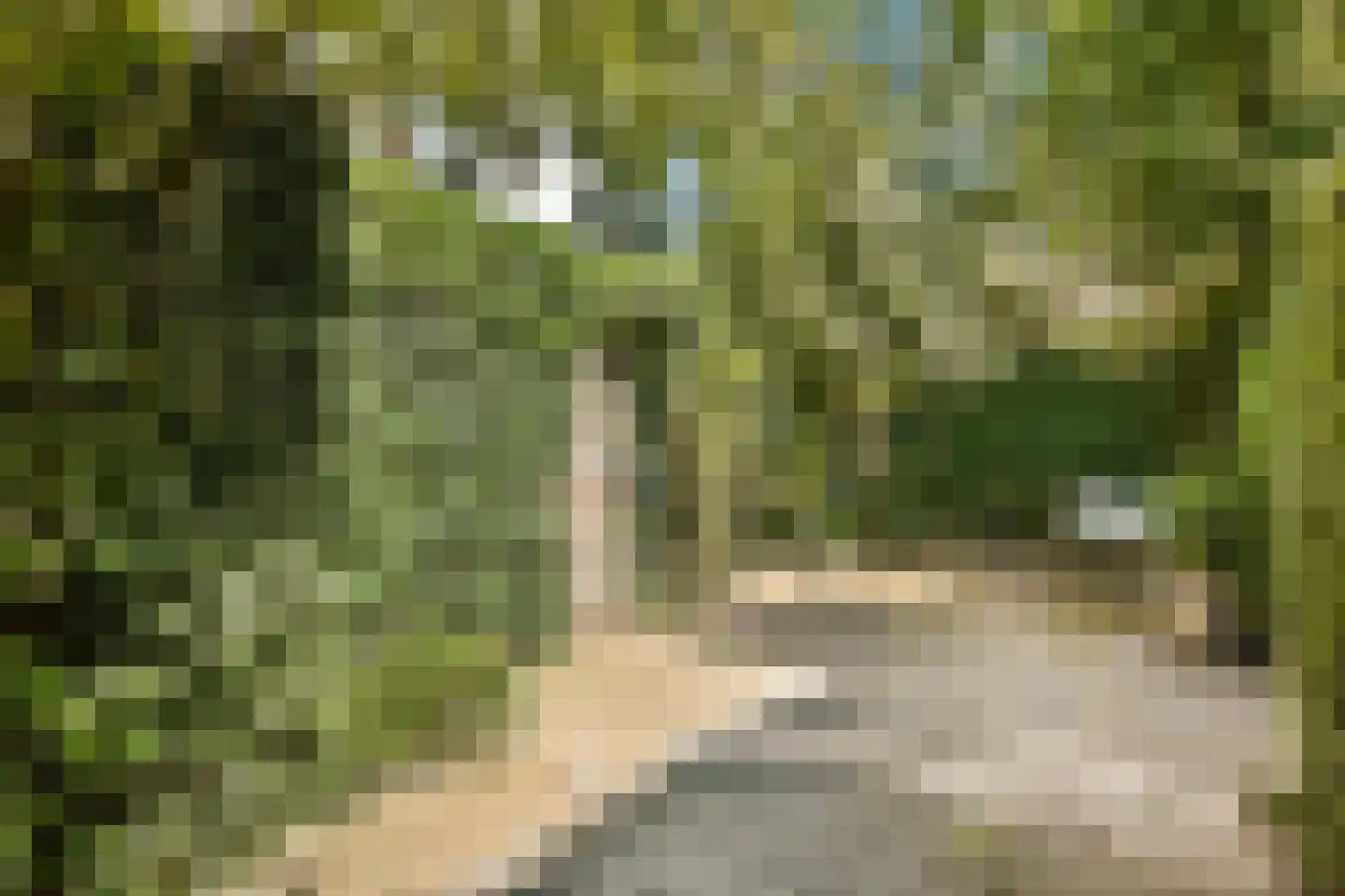 Karthuizersplantsoen 9 Amsterdam thumbnail 28