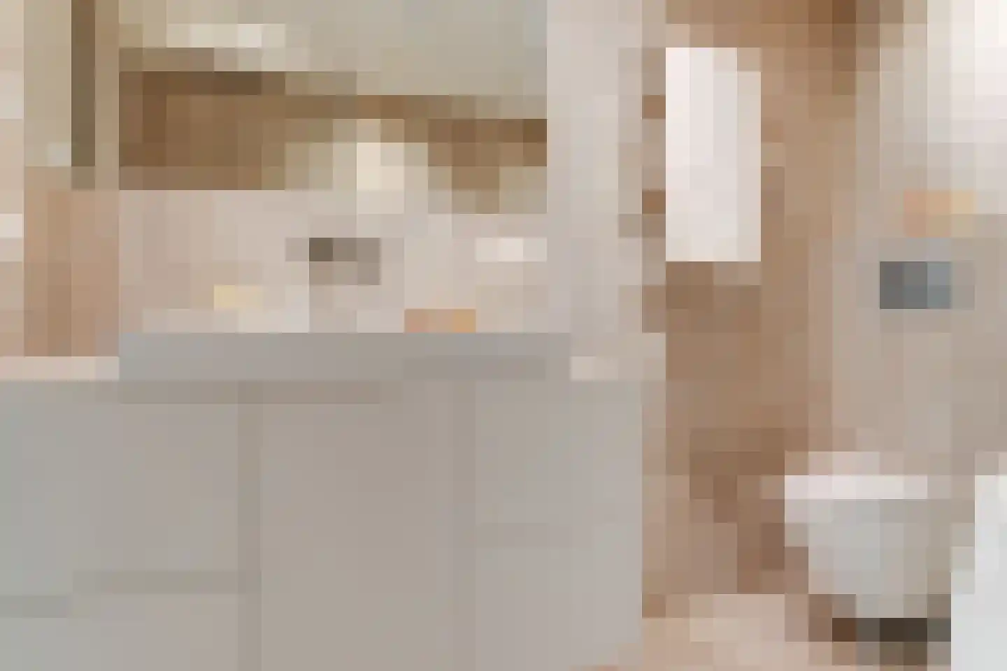 Karthuizersplantsoen 9 Amsterdam thumbnail 33