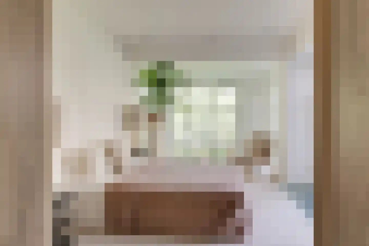 Karthuizersplantsoen 9 Amsterdam thumbnail 34