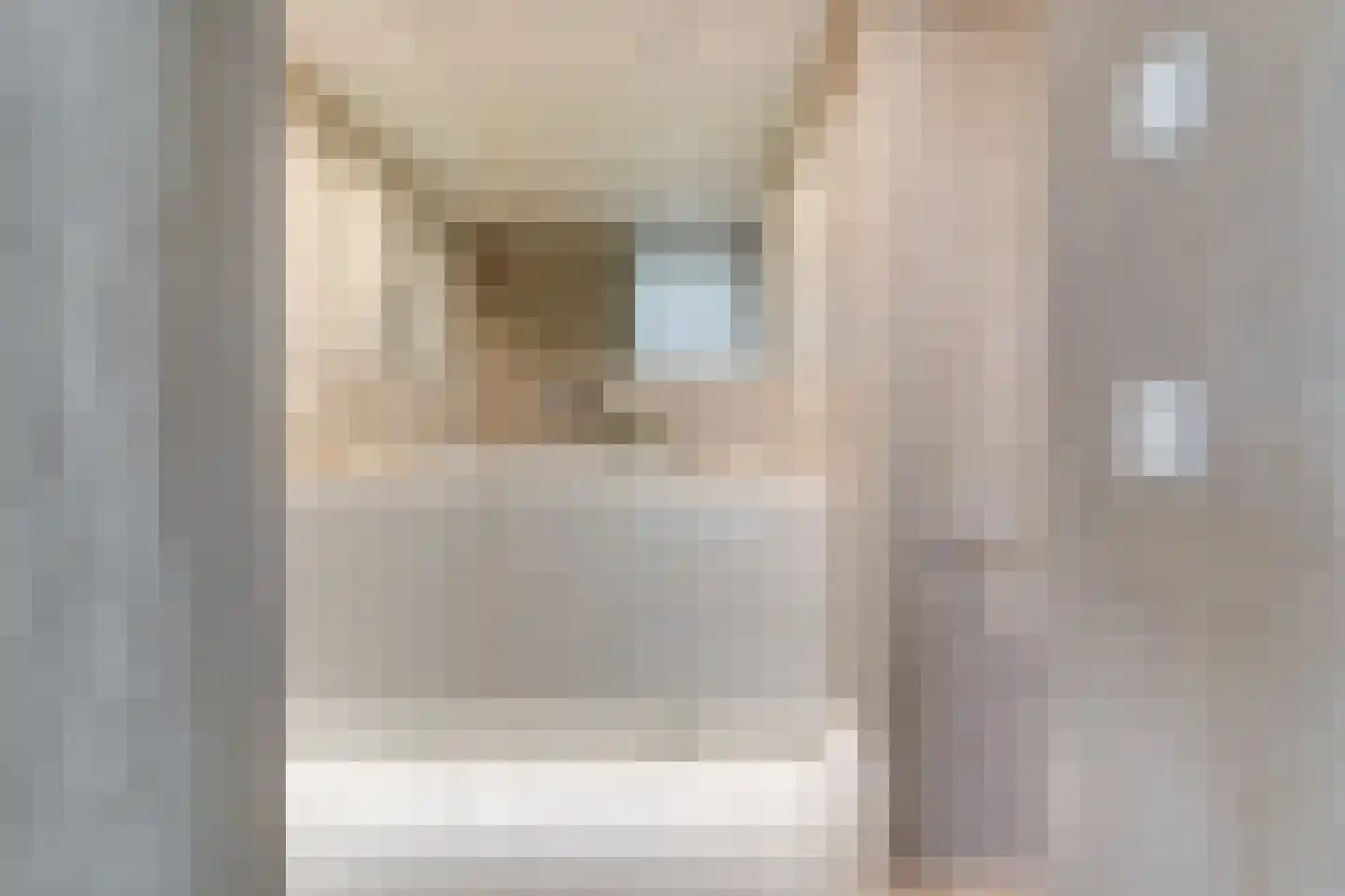 Karthuizersplantsoen 9 Amsterdam thumbnail 37