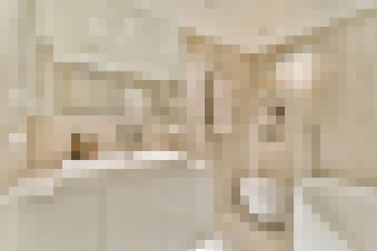 Karthuizersplantsoen 9 Amsterdam thumbnail 37
