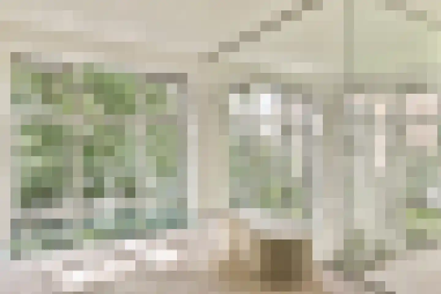 Karthuizersplantsoen 9 Amsterdam thumbnail 40