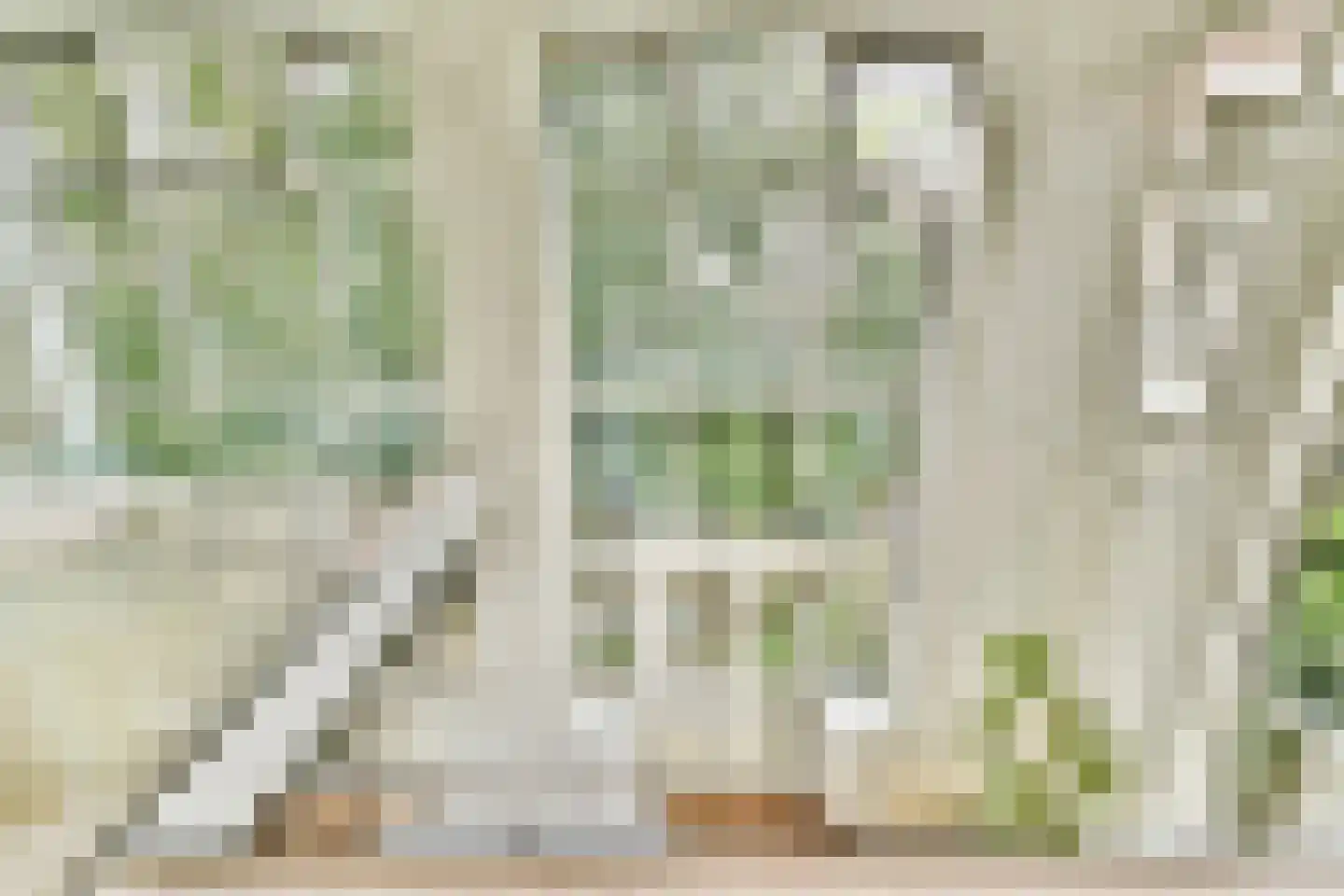 Karthuizersplantsoen 9 Amsterdam thumbnail 42