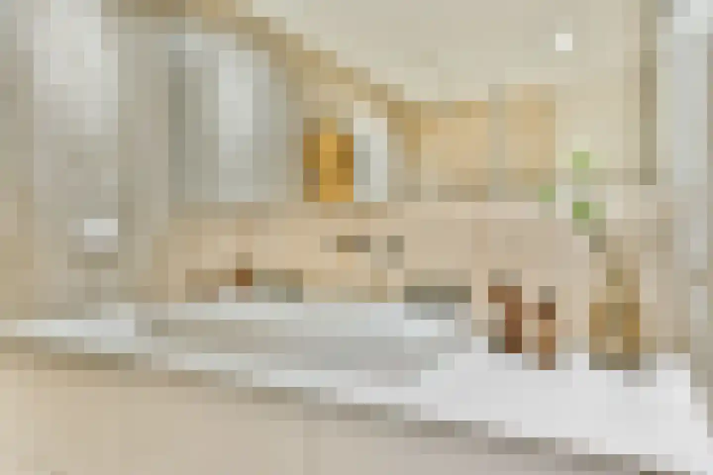 Karthuizersplantsoen 9 Amsterdam thumbnail 48