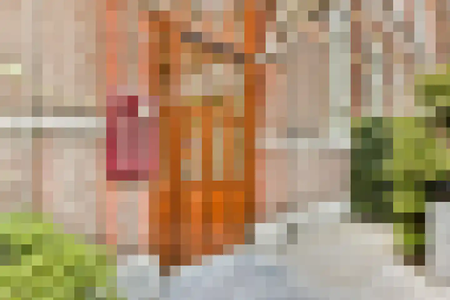 Karthuizersplantsoen 9 Amsterdam thumbnail 6