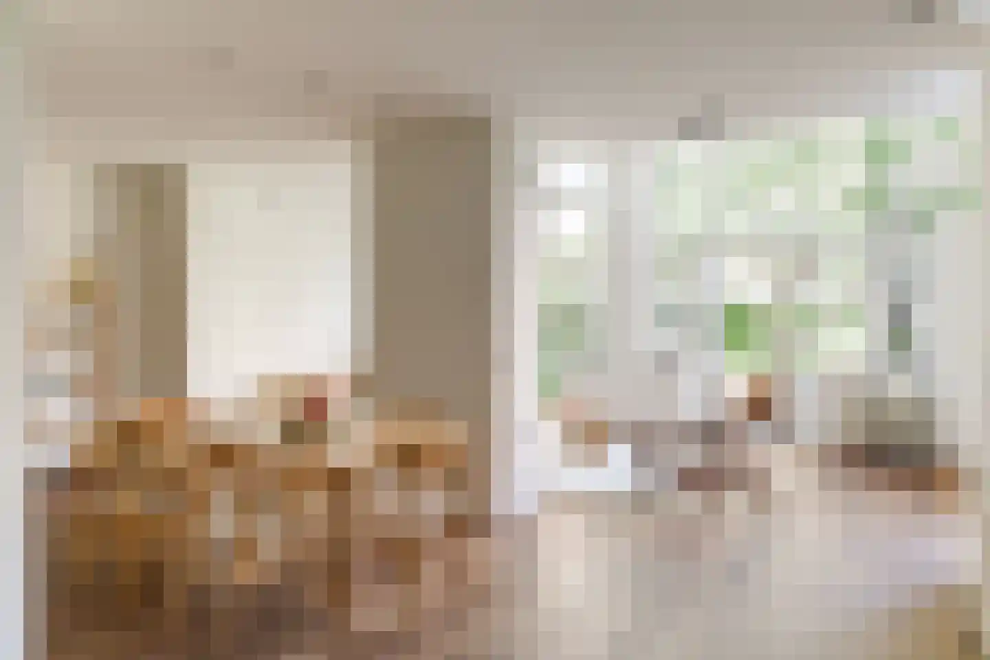 Karthuizersplantsoen 9 Amsterdam thumbnail 7