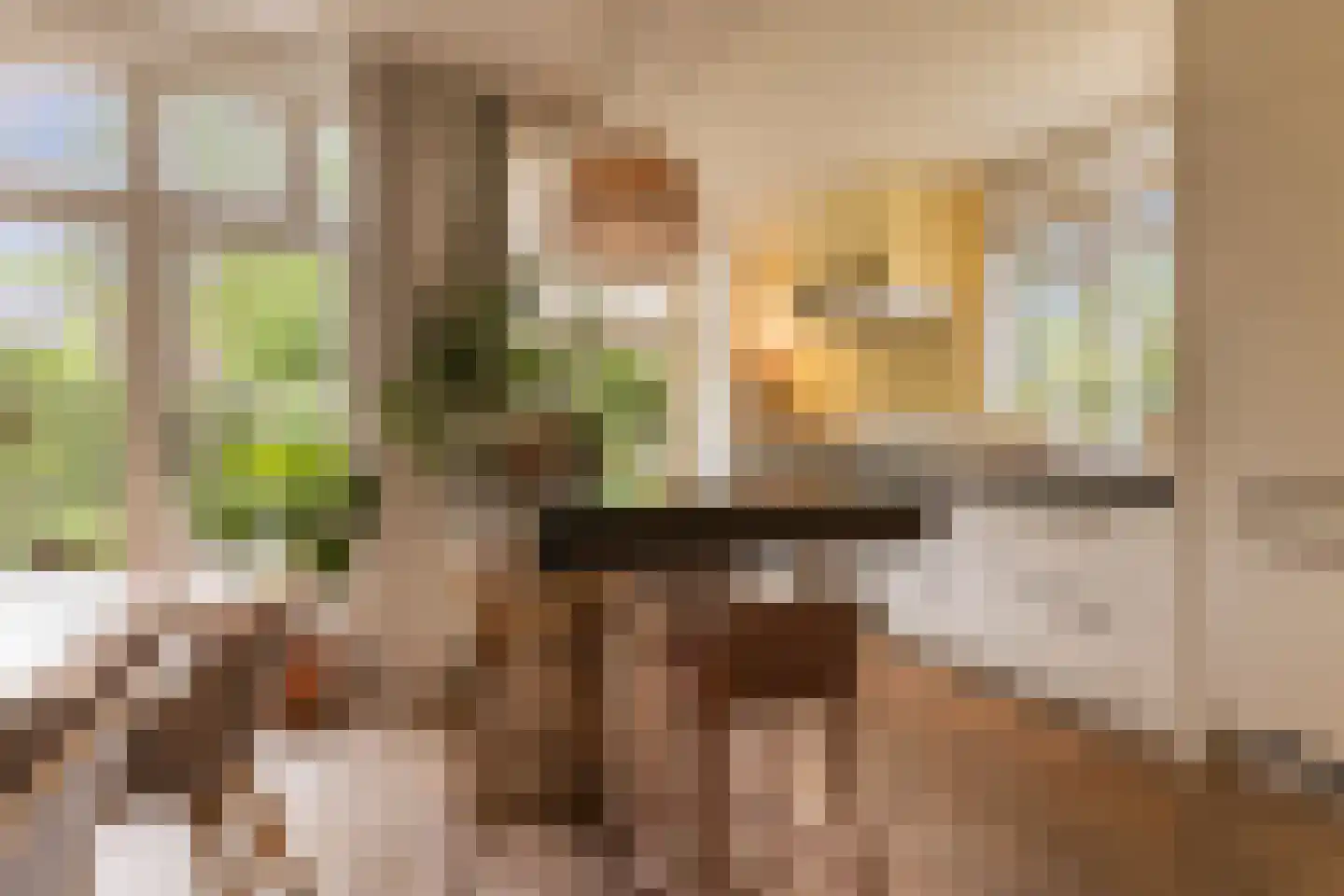 Karthuizerstraat 41 Arnhem thumbnail 11