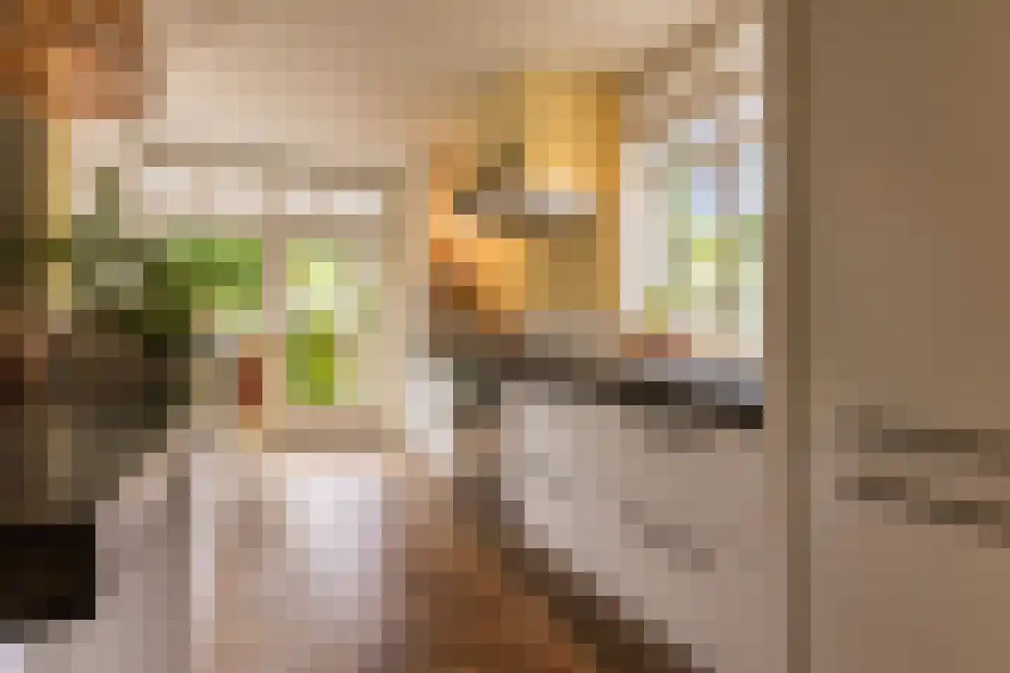 Karthuizerstraat 41 Arnhem thumbnail 15
