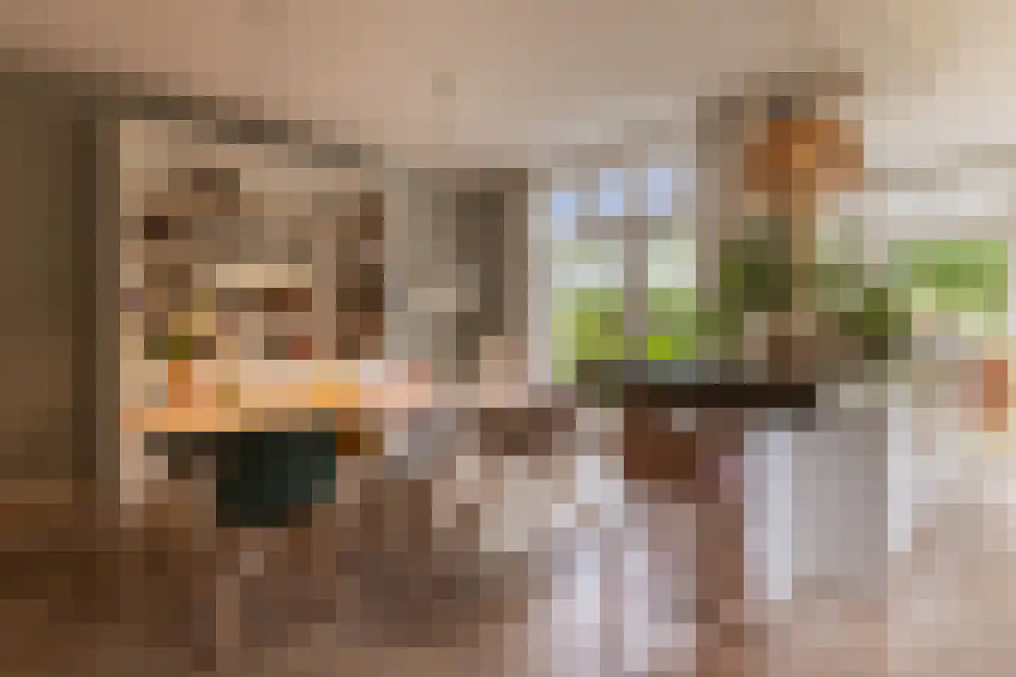 Karthuizerstraat 41 Arnhem thumbnail 16