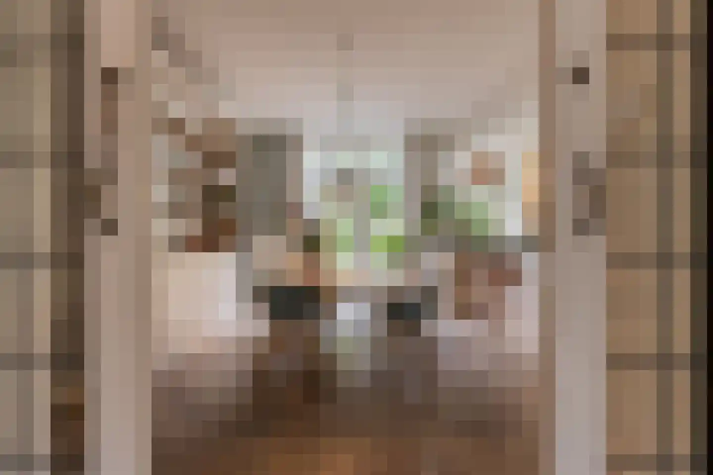 Karthuizerstraat 41 Arnhem thumbnail 21