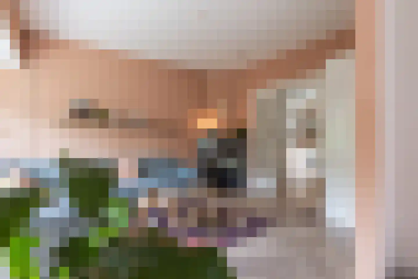 Karthuizerstraat 41 Arnhem thumbnail 26