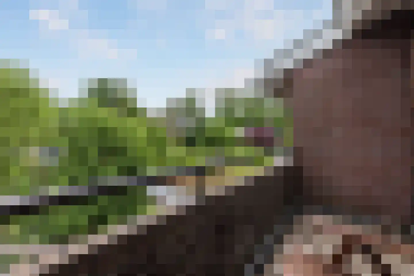 Karthuizerstraat 41 Arnhem thumbnail 32