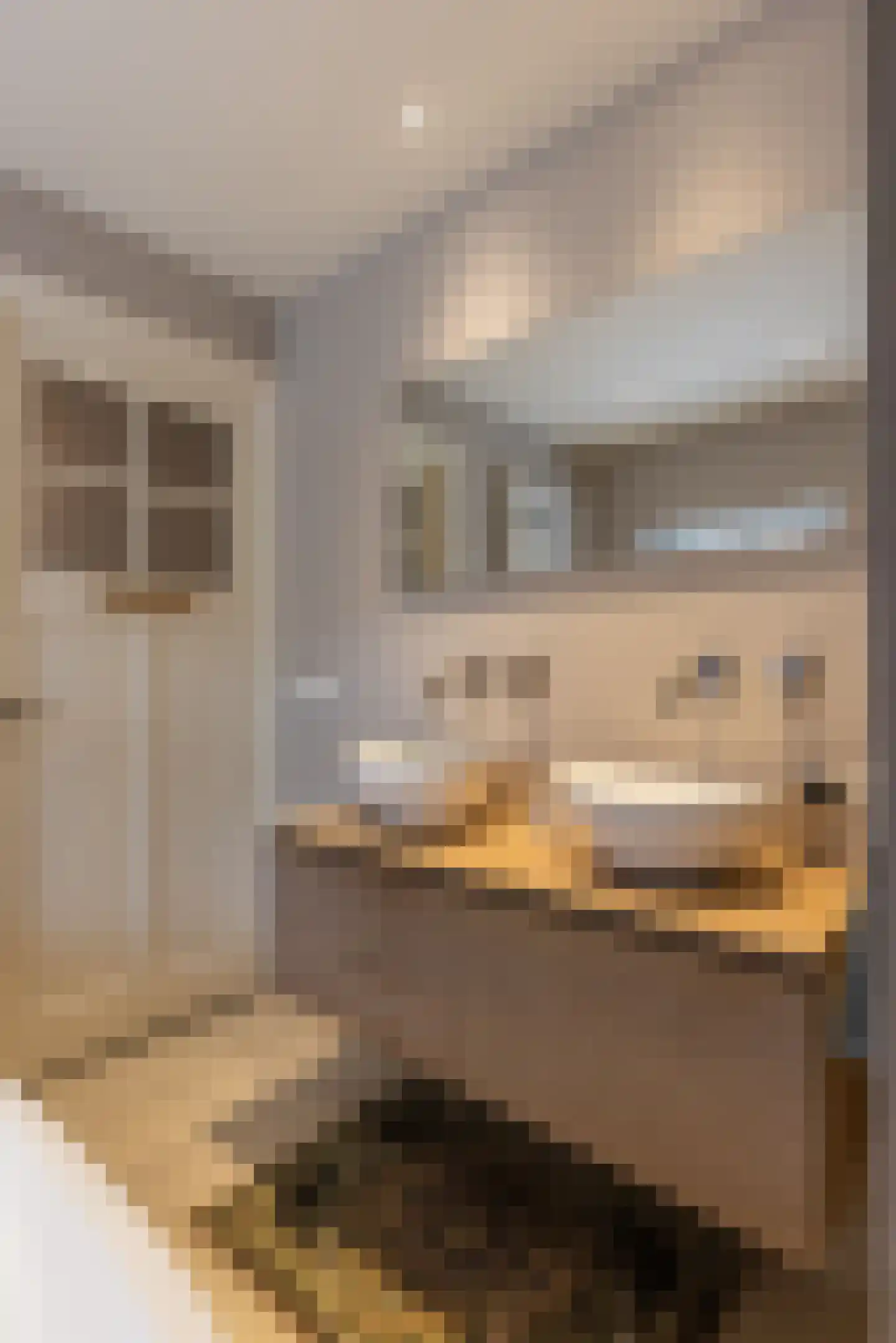 Karthuizerstraat 41 Arnhem thumbnail 37