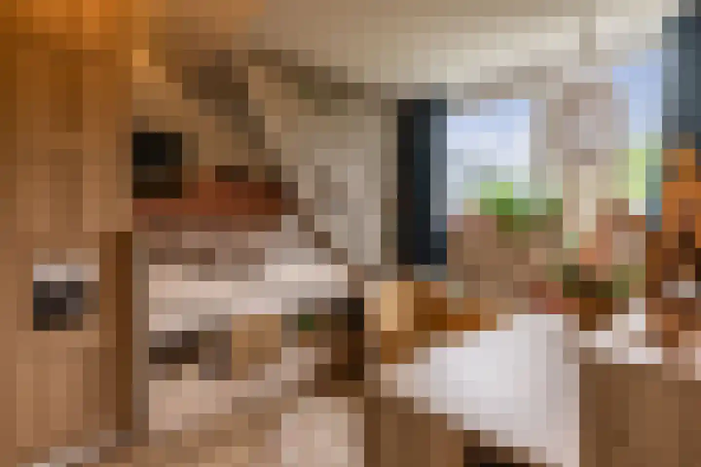 Karthuizerstraat 41 Arnhem thumbnail 43