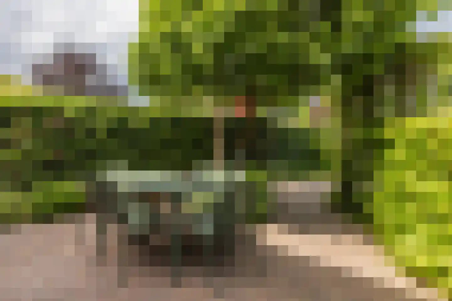 Karthuizerstraat 41 Arnhem thumbnail 48