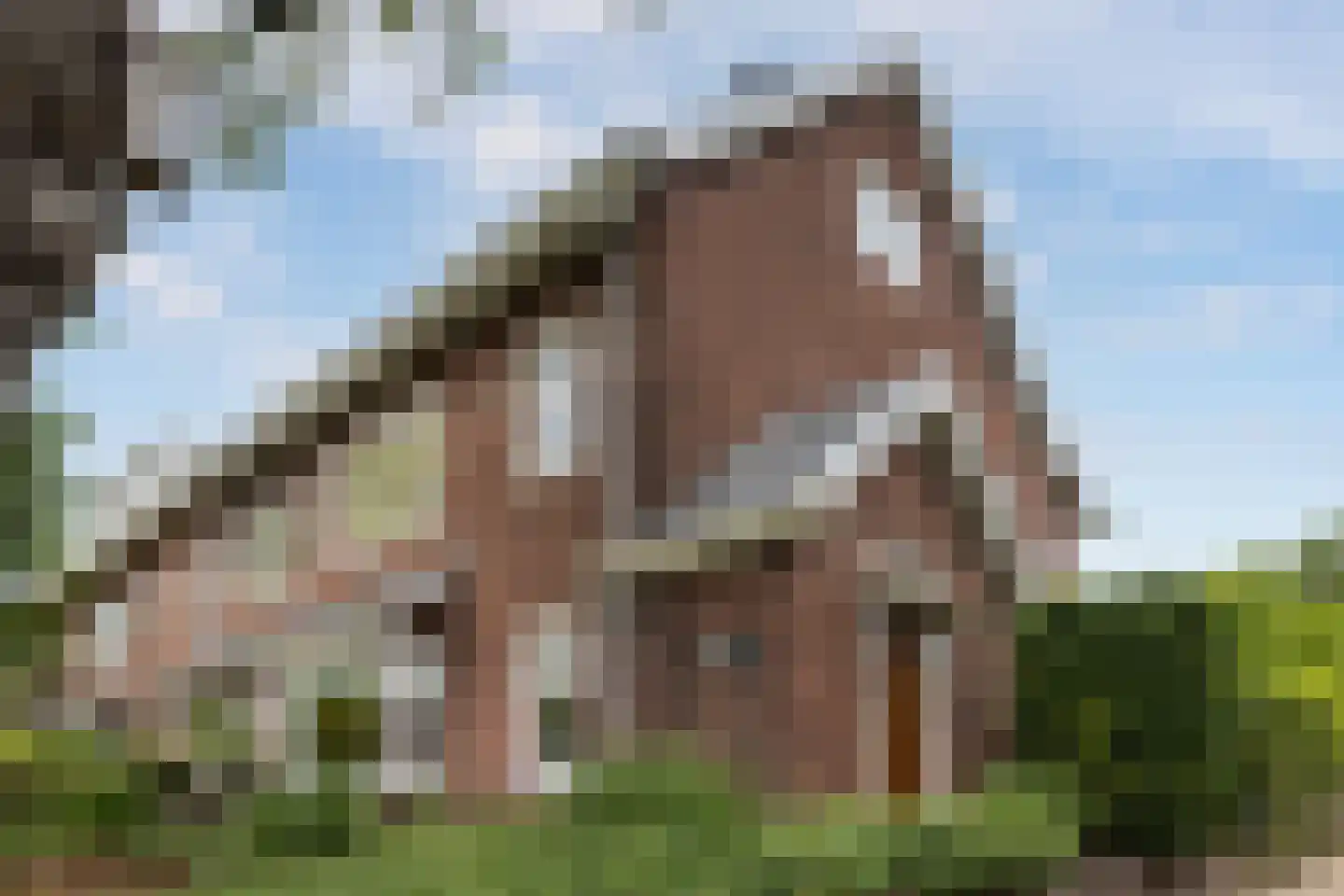 Karthuizerstraat 41 Arnhem thumbnail 5