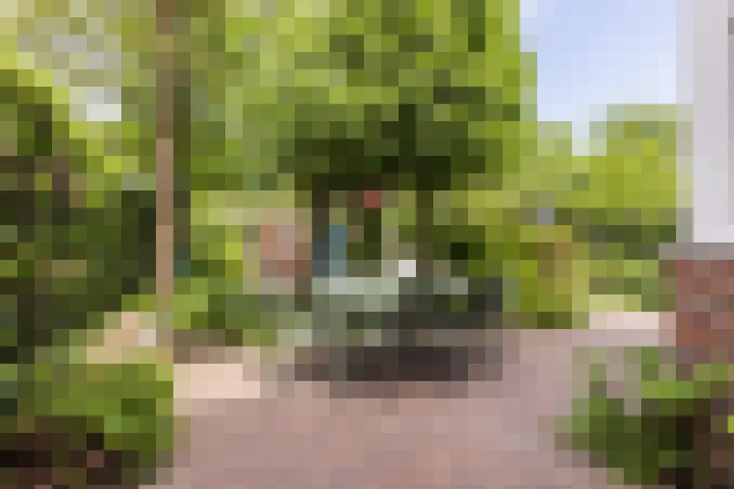 Karthuizerstraat 41 Arnhem thumbnail 50