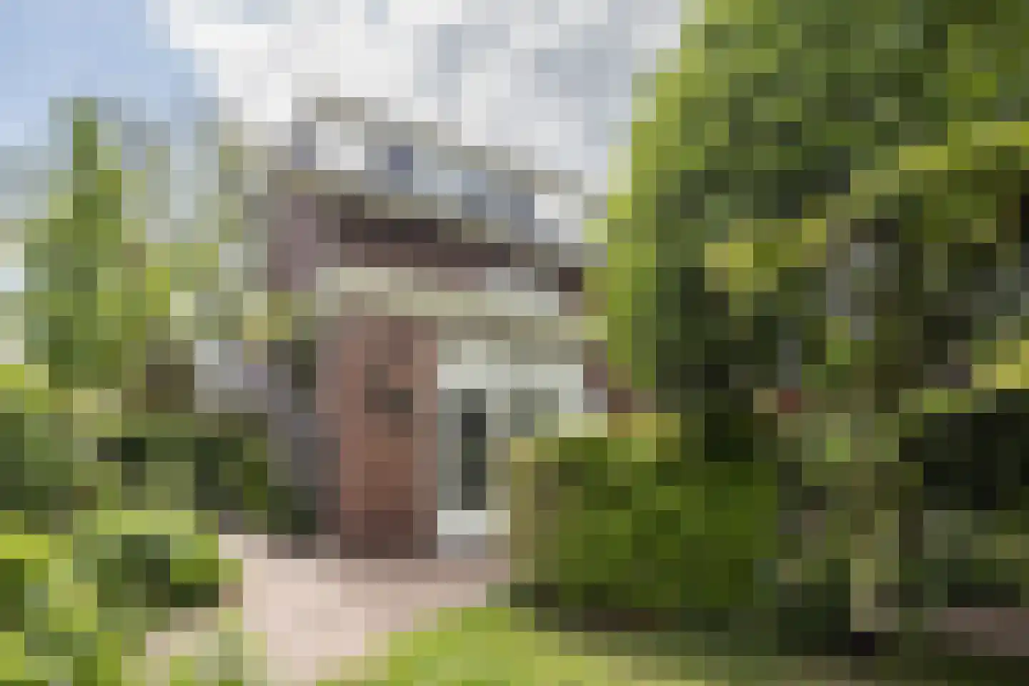 Karthuizerstraat 41 Arnhem thumbnail 51