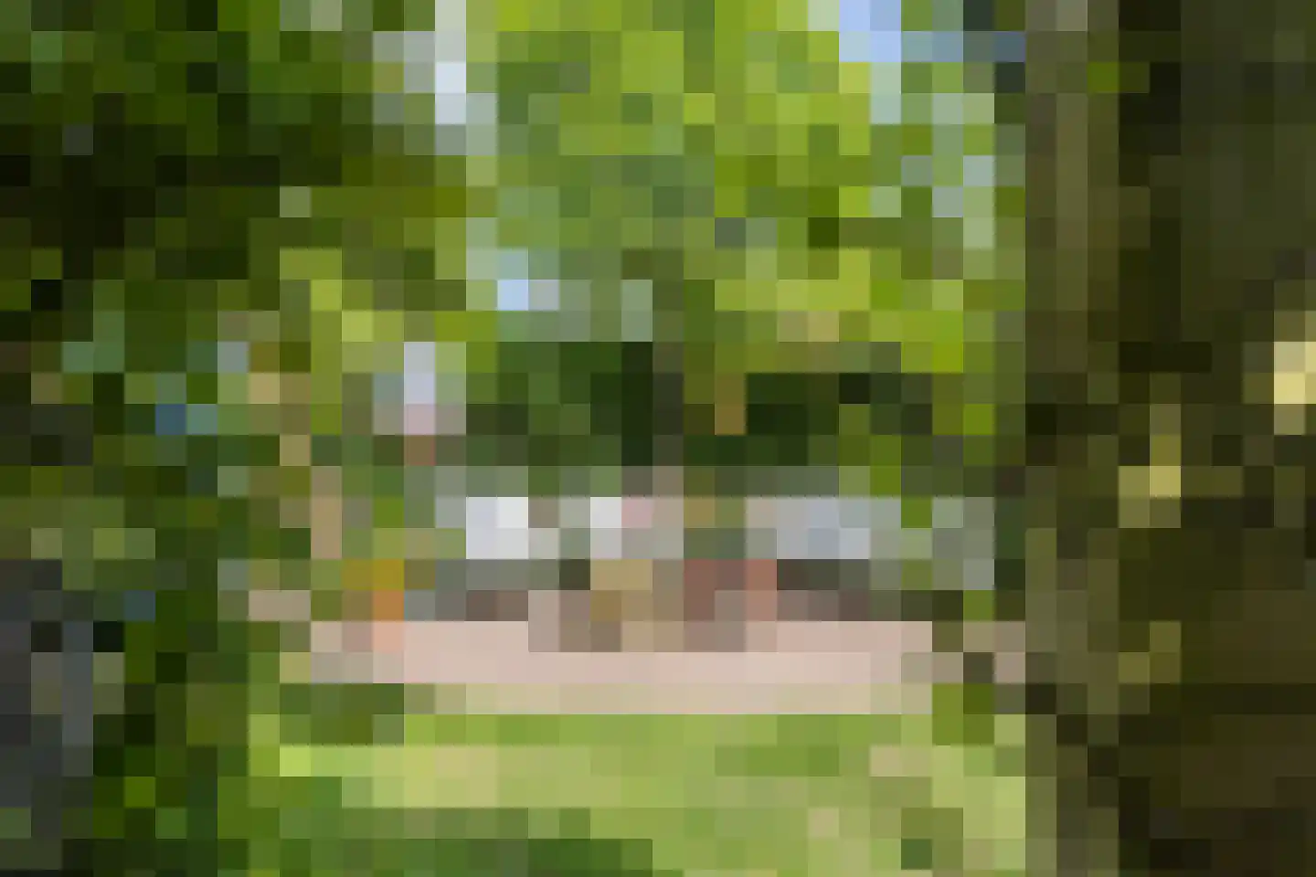 Karthuizerstraat 41 Arnhem thumbnail 53