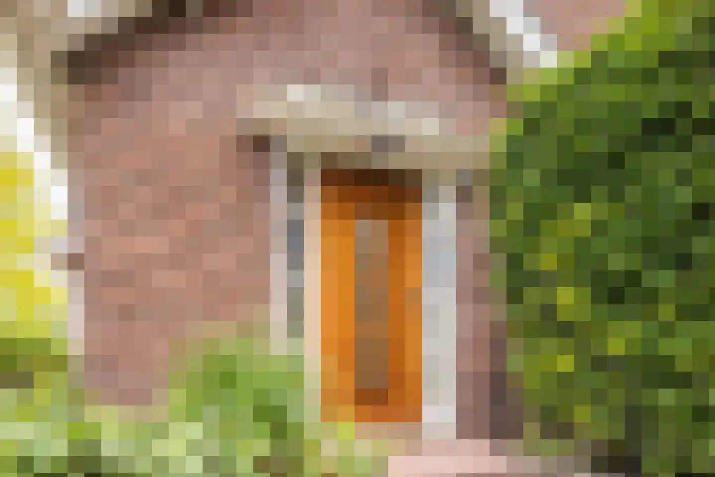 Karthuizerstraat 41 Arnhem thumbnail 64