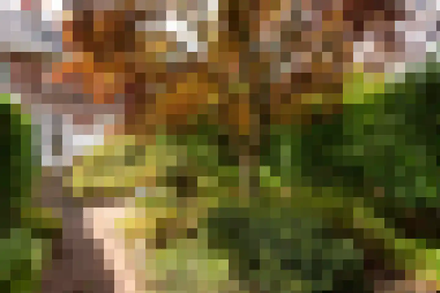 Karthuizerstraat 47 Arnhem thumbnail 15
