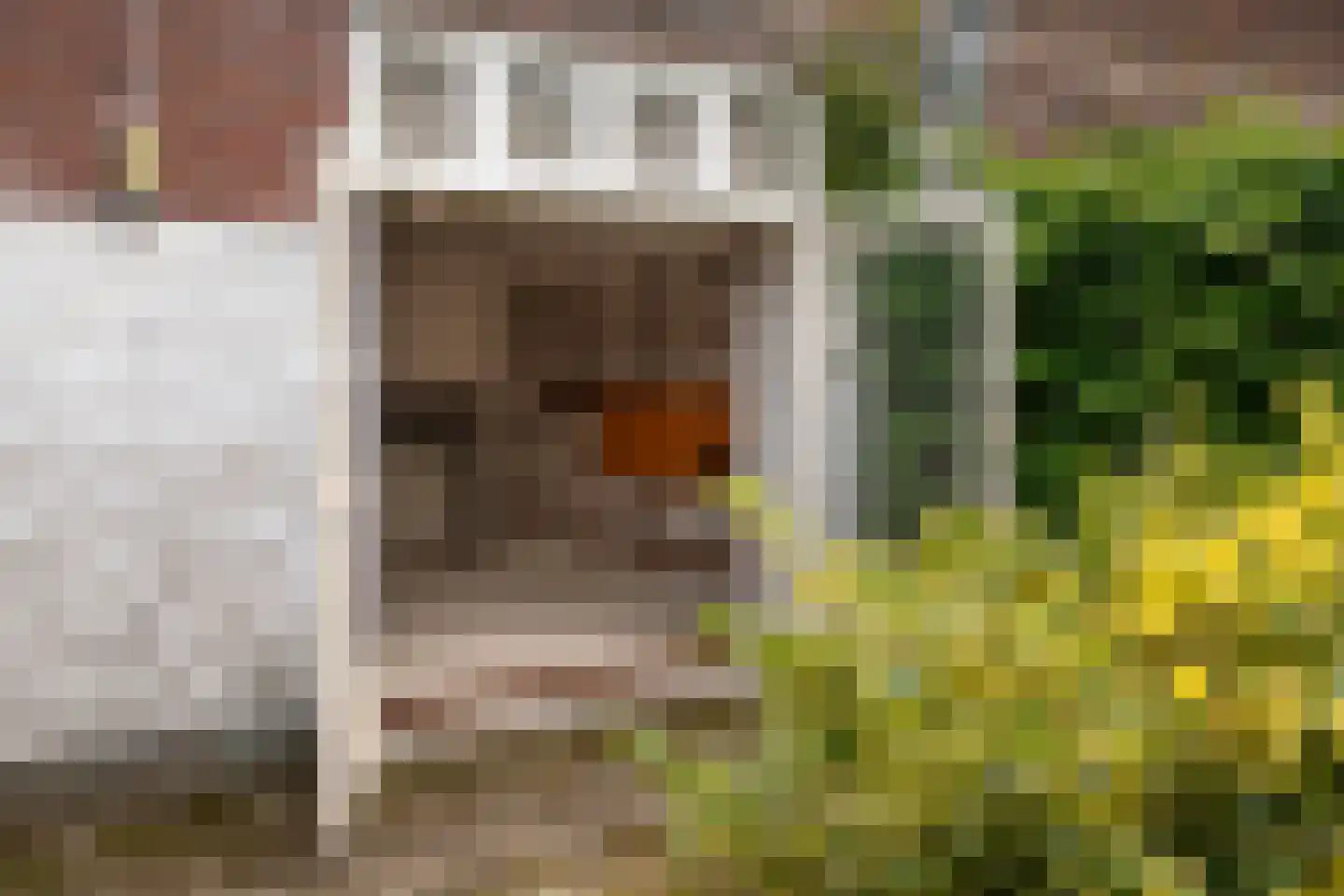 Karthuizerstraat 47 Arnhem thumbnail 16