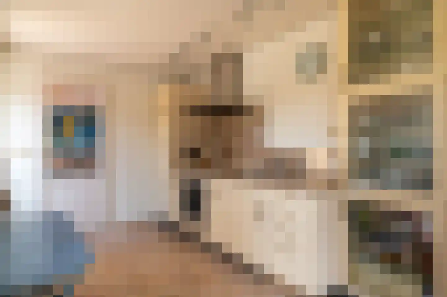 Karthuizerstraat 7 Helden thumbnail 10