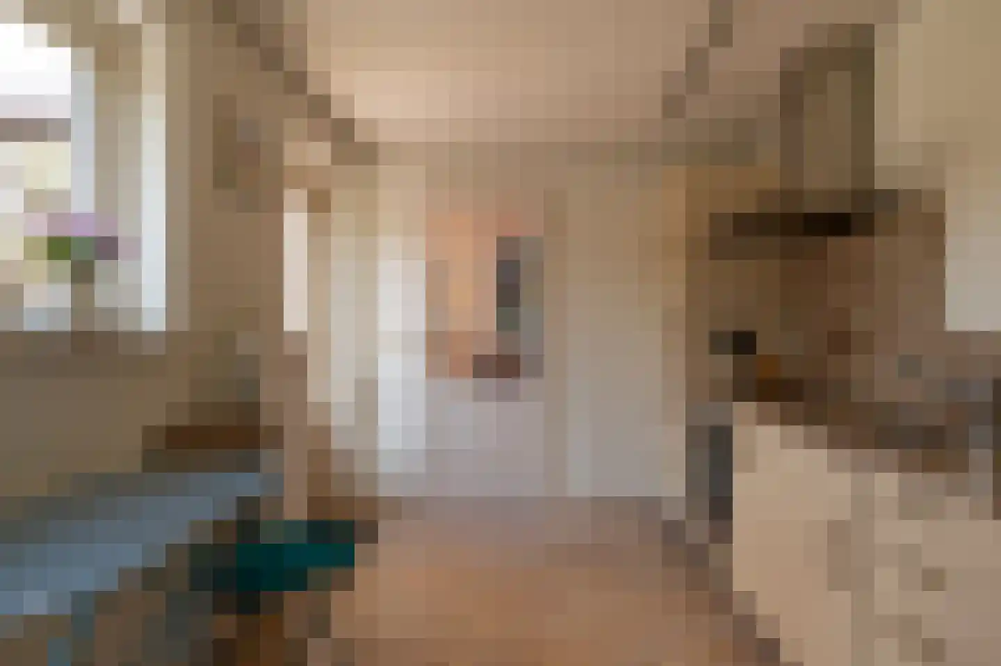 Karthuizerstraat 7 Helden thumbnail 11